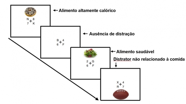 Atenção prejudicada por alimentos altamente calóricos