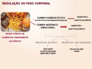 A teoria do set-point no controle do peso