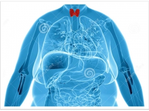 Excesso de peso e o risco de c&acirc;ncer de tireoide