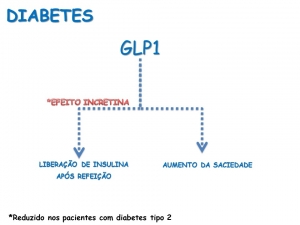Incretinas e o Diabetes