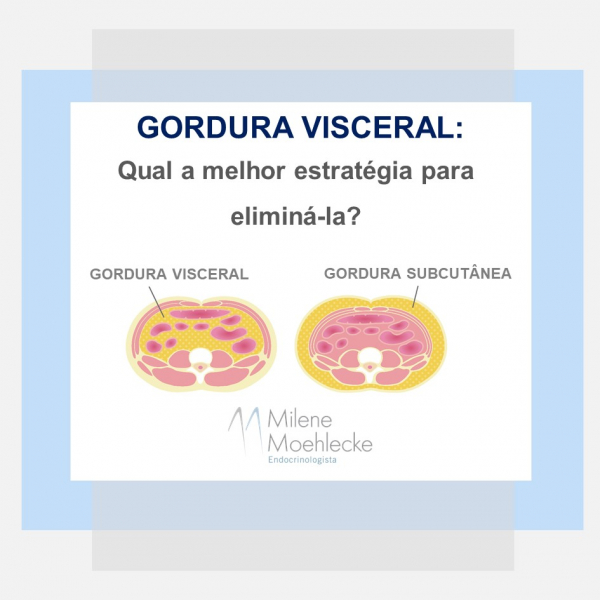 Qual a melhor estratégia para eliminar a gordura visceral?