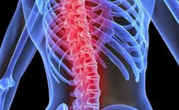 Osteoporose - Aspectos Gerais